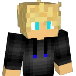 elliot4711 Minecraft avatar bust