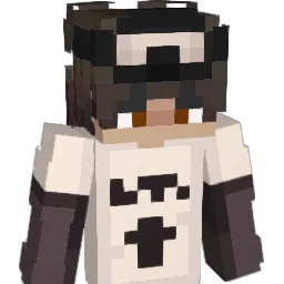 elseva_cs_'s Minecraft skin