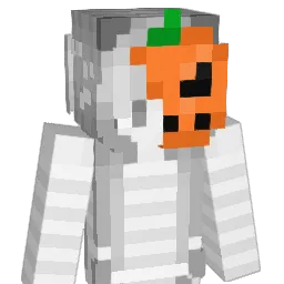 elytrachan Minecraft avatar bust