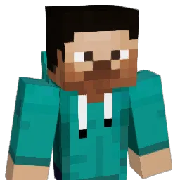 emileZZZ4 Minecraft avatar bust