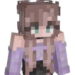 emilien55555 Minecraft avatar bust