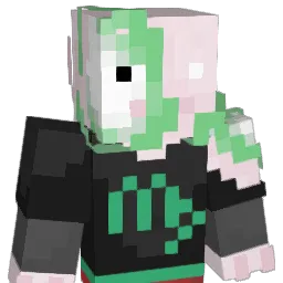 emo_grinch_'s Minecraft skin