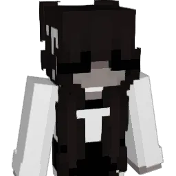 encasings Minecraft avatar bust
