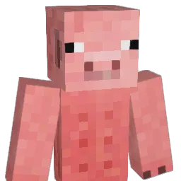 endcan1's Minecraft skin