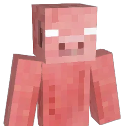 ender0205 Minecraft avatar bust