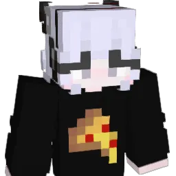 ender1008 Minecraft avatar bust