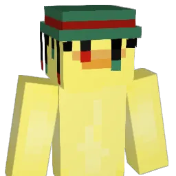 ender_pearl_DUCK Minecraft avatar bust