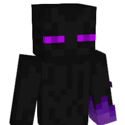 ender_sam_'s Minecraft skin