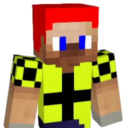 enderdragon88ny Minecraft avatar bust