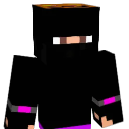 enderman599 Minecraft avatar bust