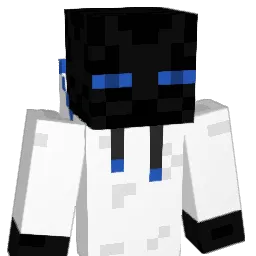enderman_bruh Minecraft avatar bust