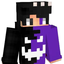 endermandbr's Minecraft skin