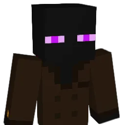 enderninja134 Minecraft avatar bust