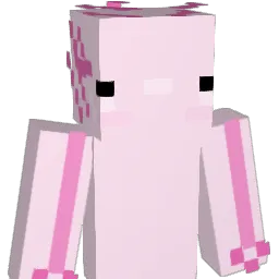 enderrslayer509 Minecraft avatar bust