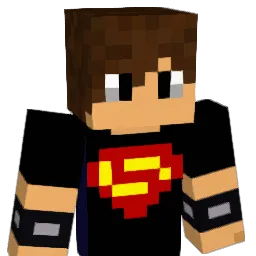 energu2015 Minecraft avatar bust