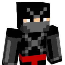 energy1010 Minecraft avatar bust