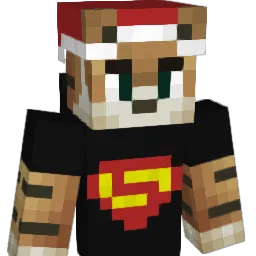 enero92 Minecraft avatar bust