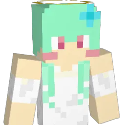 engel1004 Minecraft avatar bust