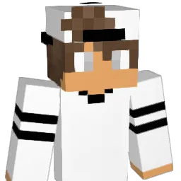 engjn Minecraft avatar bust