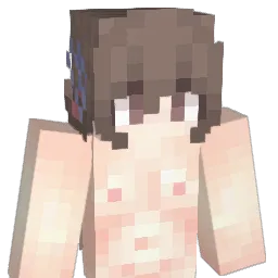 enmL7 Minecraft avatar bust