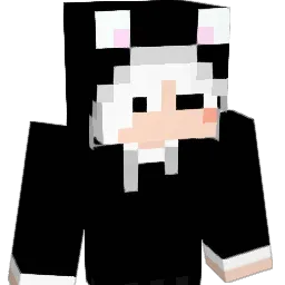 enun_NN Minecraft avatar bust