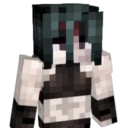 envy4004 Minecraft avatar bust