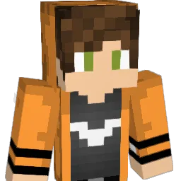 enzin123 Minecraft avatar bust