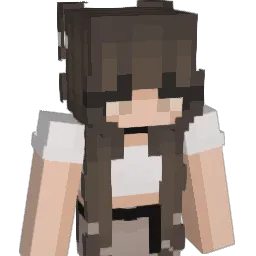 epicninjafort Minecraft avatar bust