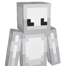 erayyy323 Minecraft avatar bust