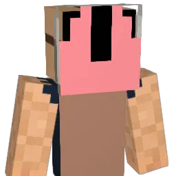 eric141981 Minecraft avatar bust