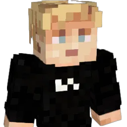 erik_030402 Minecraft avatar bust