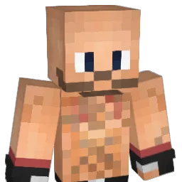 erikssito9 Minecraft avatar bust