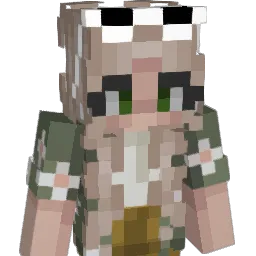 erlerce's Minecraft skin
