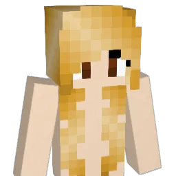 erob3711 Minecraft avatar bust