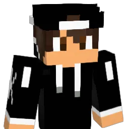 erppjr