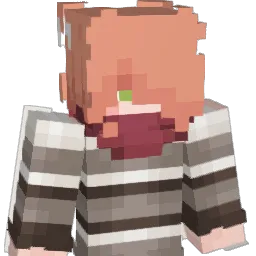 erraticsammy Minecraft avatar bust