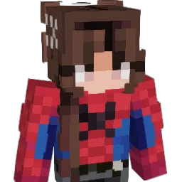 esit248 Minecraft avatar bust