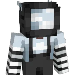 estupida_ Minecraft avatar bust