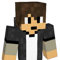 etnies647 Minecraft avatar bust