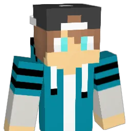 ev710 Minecraft avatar bust