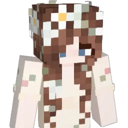 evacmx's Minecraft skin