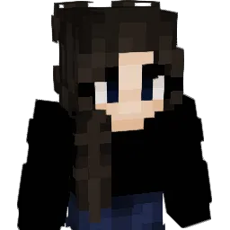 evisa2411 Minecraft avatar bust
