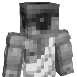 evnss Minecraft avatar bust