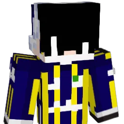 evolays's Minecraft skin