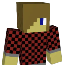 ewizard110 Minecraft avatar bust