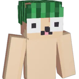eww5 Minecraft avatar bust