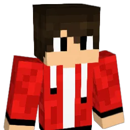 ex4649 Minecraft avatar bust