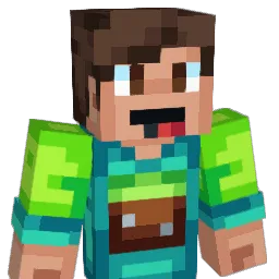 expertvillageguy