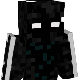 expressbird8594 Minecraft avatar bust