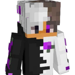 V4LD3_'s skin